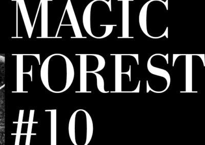 Magic Forest #10 Poster #967