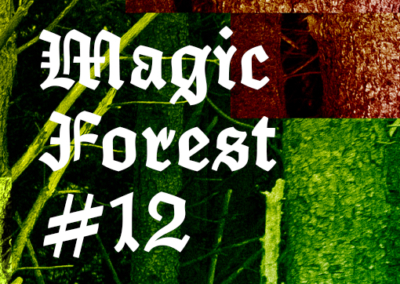 Magic Forest #12 Poster #969