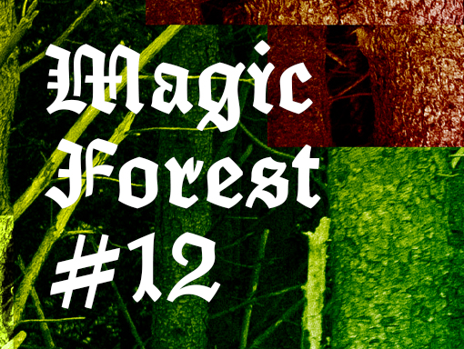 Poster overview of the number twelve of the mini-series Magic Forest