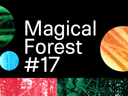 Overview of the Poster number 974 titled Magic Forest 17