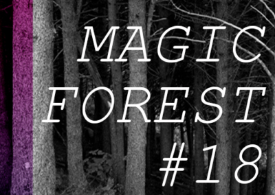 Magic Forest #18 Poster #975