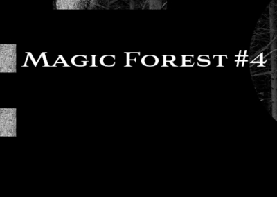 Magic Forest #4 Poster #961