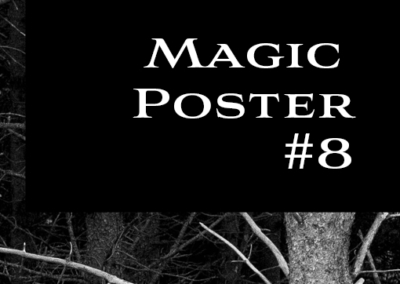 Magic Forest #8 Poster #965