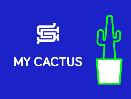 Overview of the minimalist design number 1132 named my Cactus