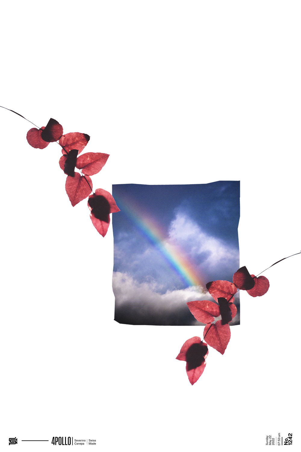 Minimalist and vintage digital collage made with leaf and the picture of a rainbow