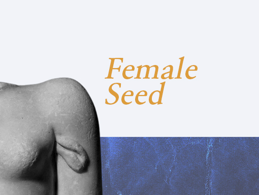 Overview of the digital creation number 1243 named Female Seed