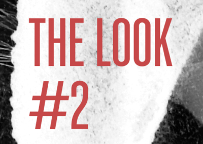 The Look #2 Poster #1267