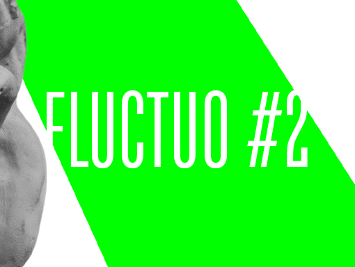 Visual presentation of the poster number 1311 named Fluctuo 2