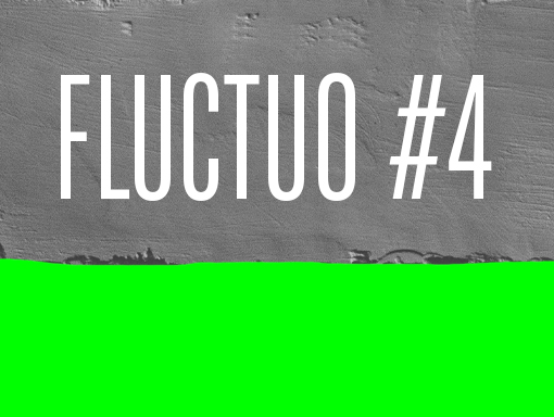 Visual overview of the poster 1313 named Fluctuo #4