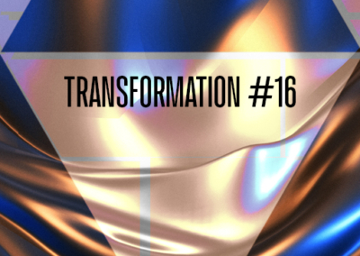 Transformation #16 Poster #1305