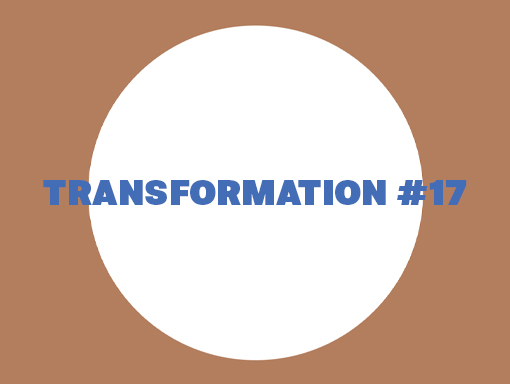 Overview of the poster number 1306 named Transformation 17