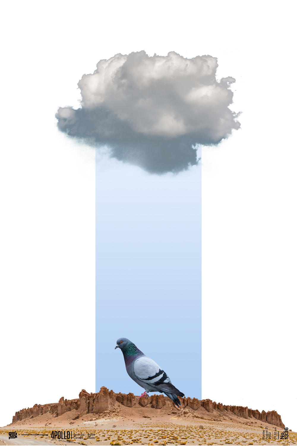 Minimalist and digital collage made with a pigeon, a cloud, and a mountain