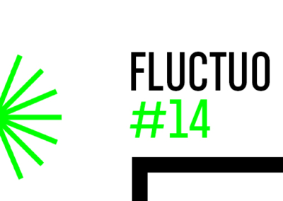 Fluctuo #14 Poster #1323