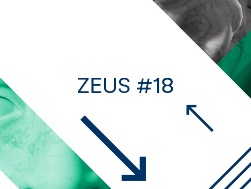 Presentation image of the poster number 1402 named Zeus 18