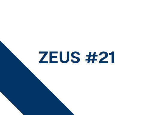 Presentation image of the poster number 1405 named Zeus 21