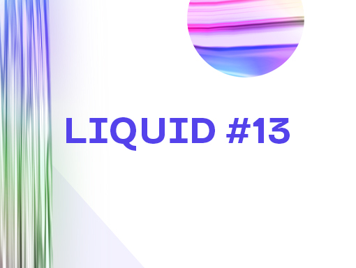 Presentation overview of the poster number 1482 named Liquid 13