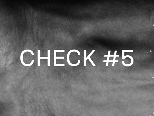 Visual presentation of the poster number 1541 titled Check 5