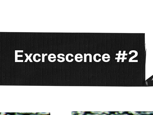 Experimental artwork presentation number 1549 named Excrescence 2