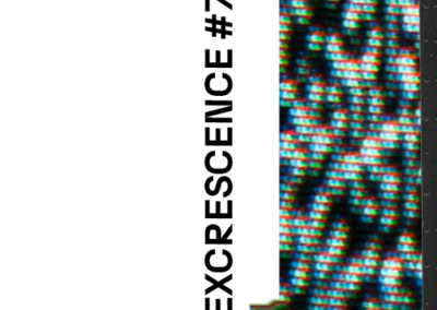 Excrescence #7 Poster #1554