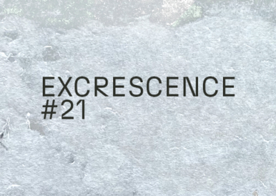 Excrescence #21 Poster #1569