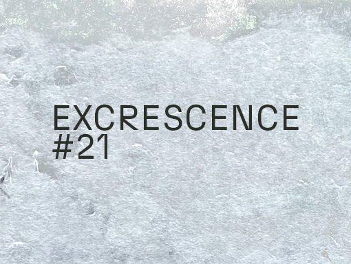 Poster presentation of the creation named Excrescence 21