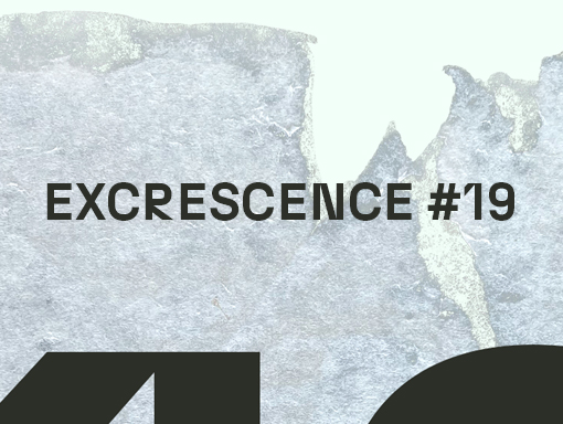 Presentation of poster number 1567, named Excrescence 19