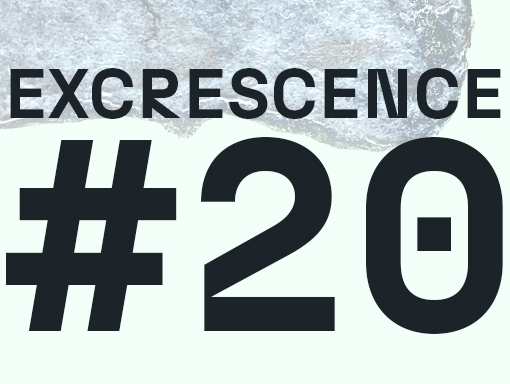 Presentation of poster number 1658 named Excrescence 20