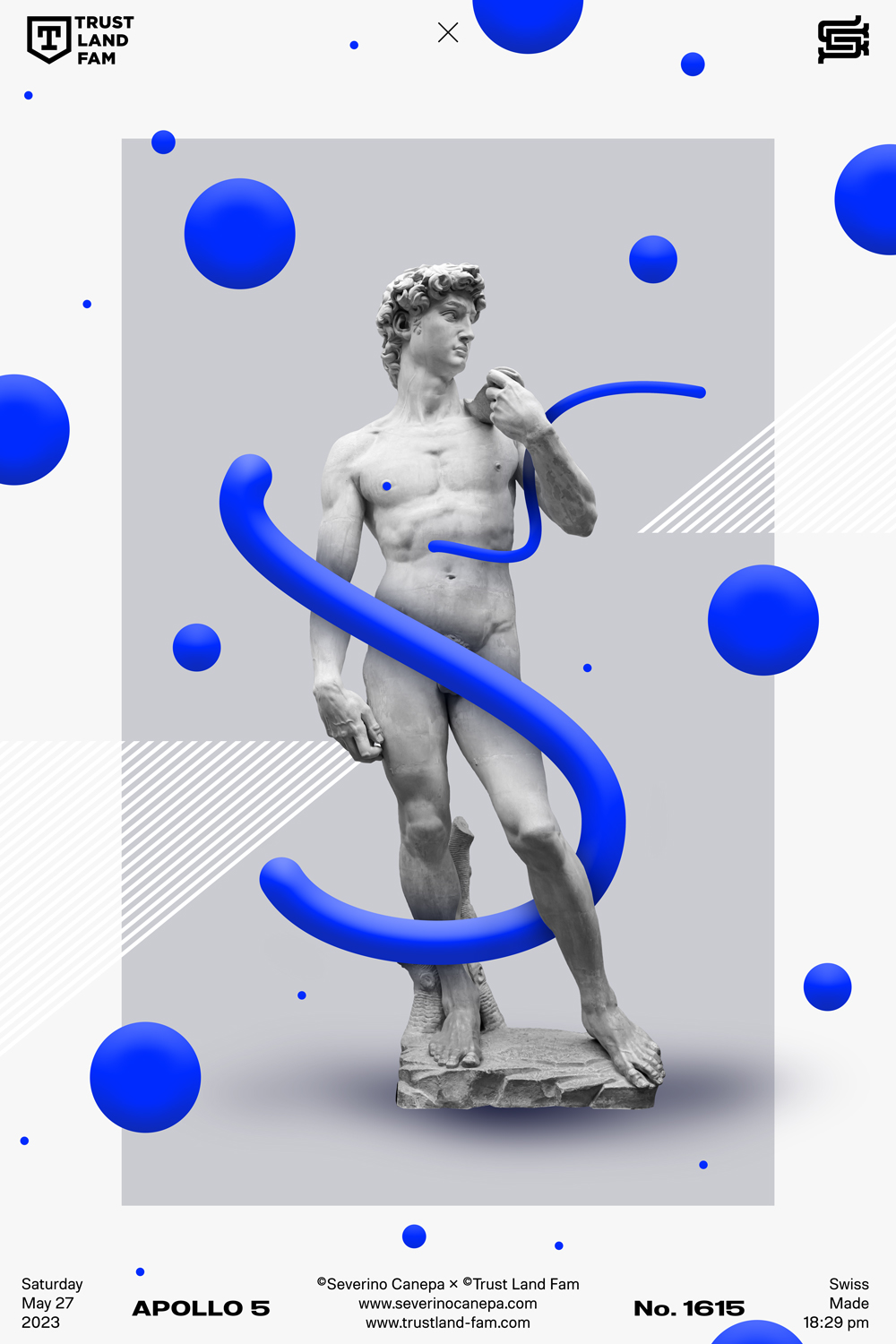 Contemporary visual artwork using organic shapes and the statue of David