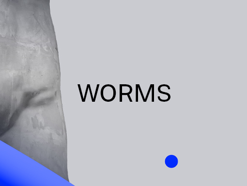 Presentation overview of the poster number 1615, named Worms