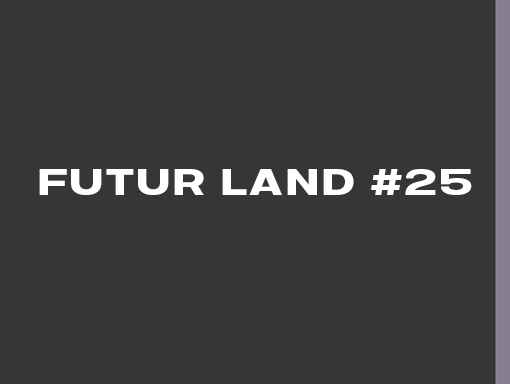 Visual overview of the poster number 1788 named Futur Land 25